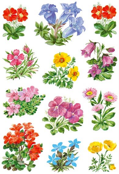 Etikett Herma Dekor blommor 3
