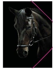 Gummibandsmapp A4 Black Beauty