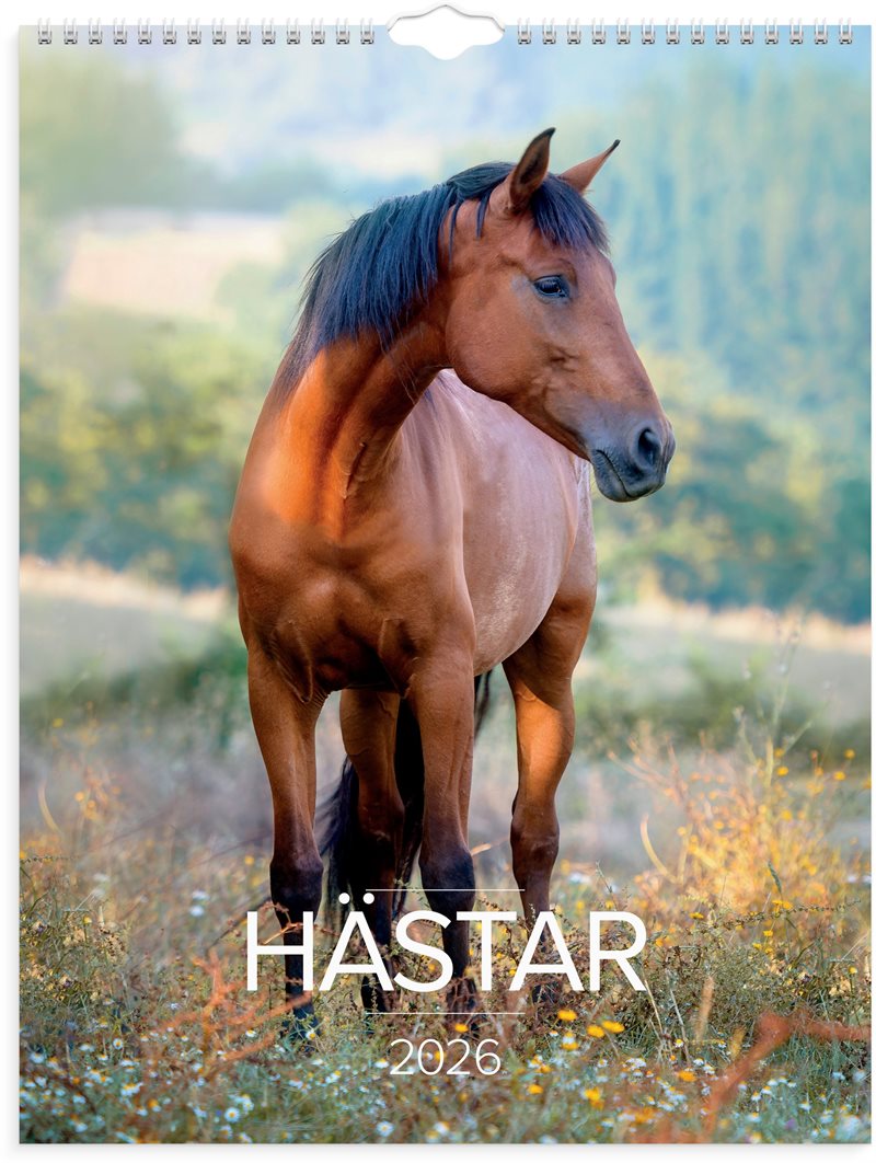 Väggkalender 2026 Stora Hästkalendern