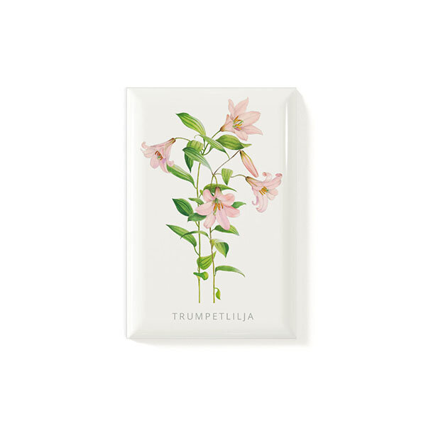Magnet Trumpetlilja 53x78mm