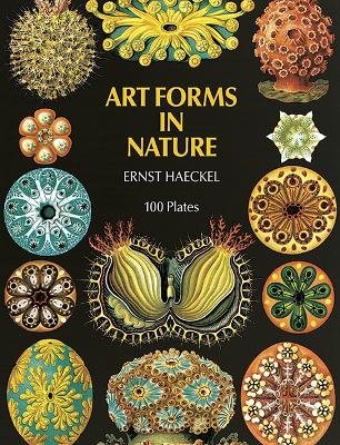 Art forms in nature