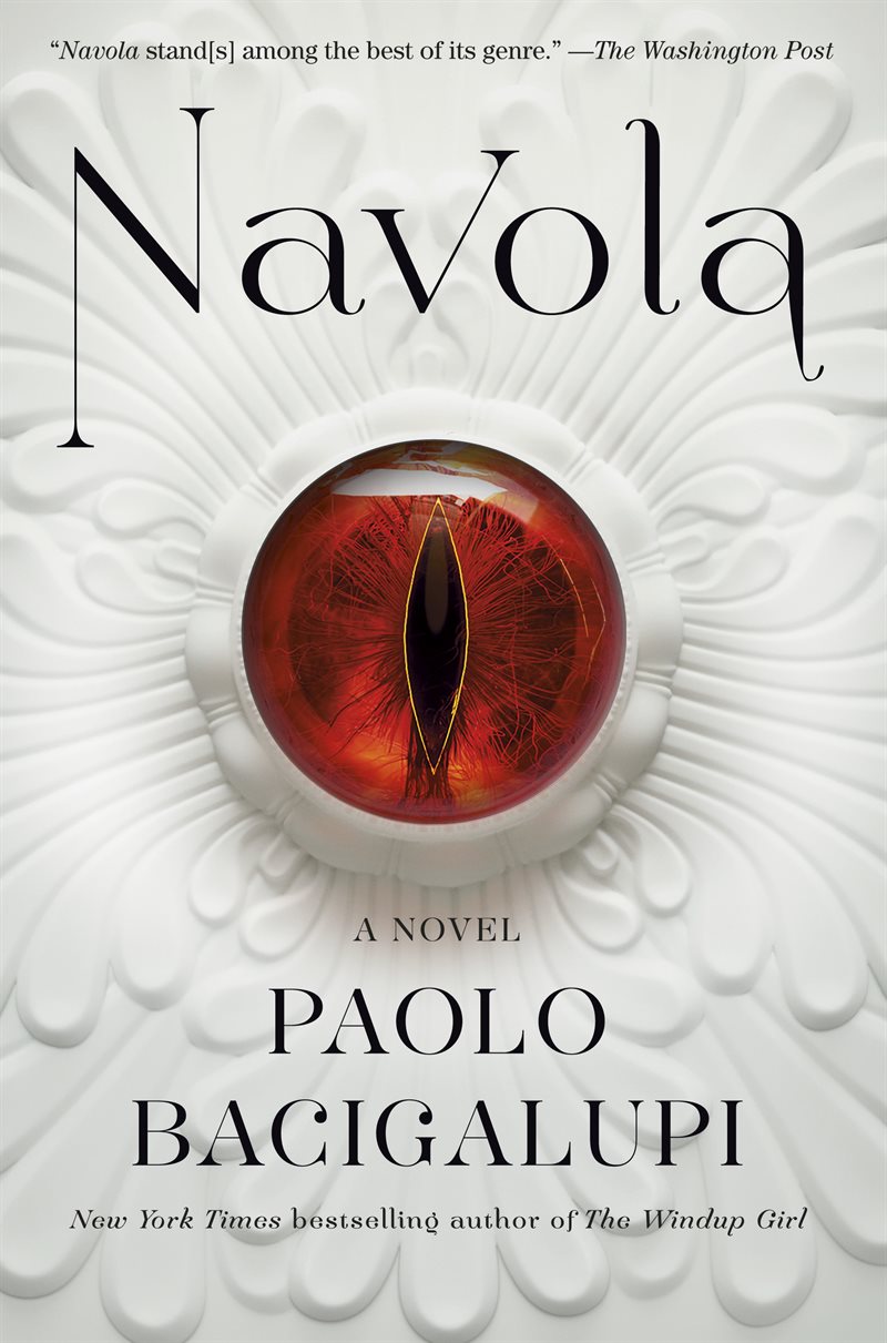 Navola: A Novel