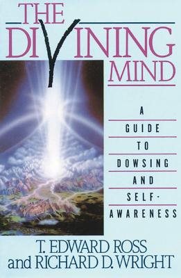Divining Mind: A Systematic Approach To Becoming An Expert D
