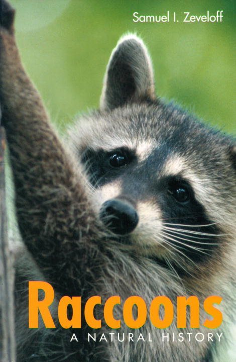 Raccoons