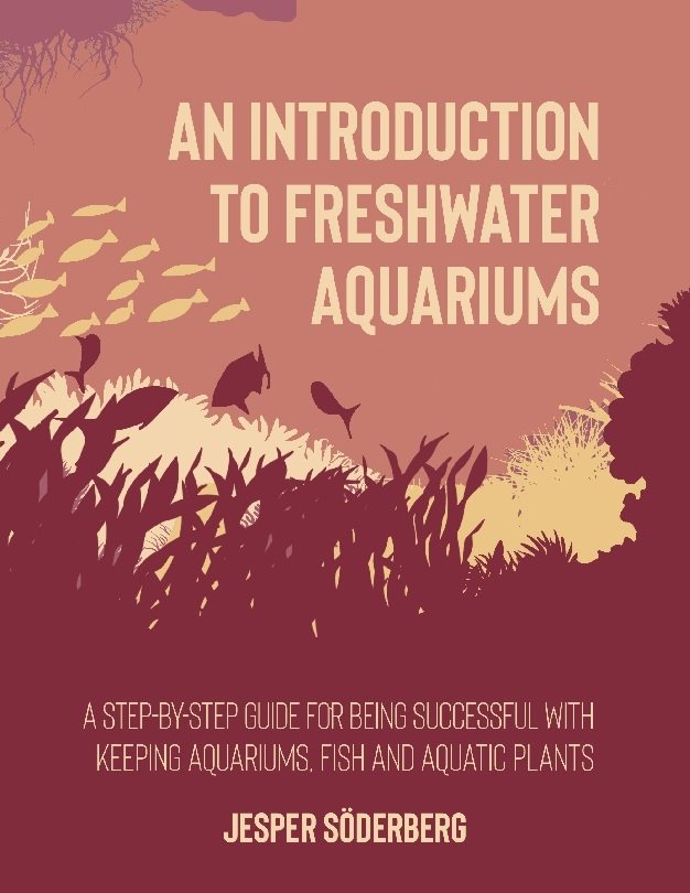 An Introduction to Freshwater Aquariums : A step-by-step guide for being su