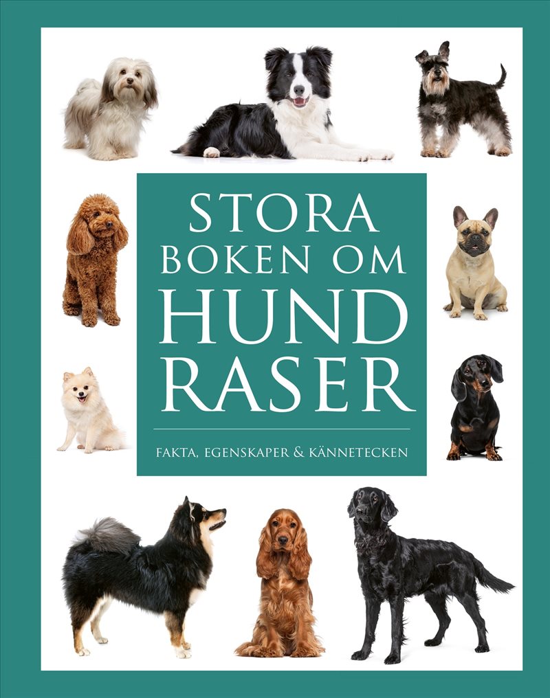Stora boken om hundraser : Fakta, egenskaper och kännetecken