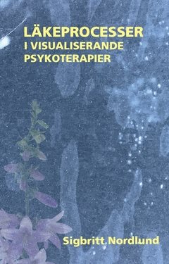 Läkeprocesser i visualiserande psykoterapier