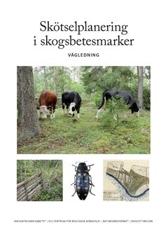 Skötselplanering i skogsbetesmarker : vägledning