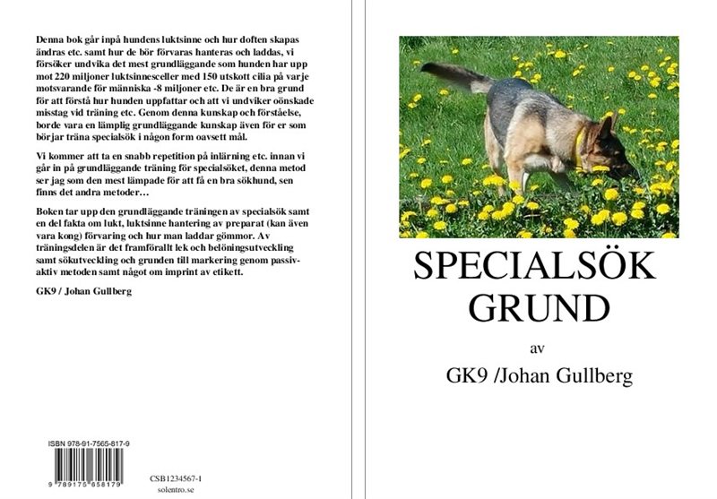 Specialsök grund