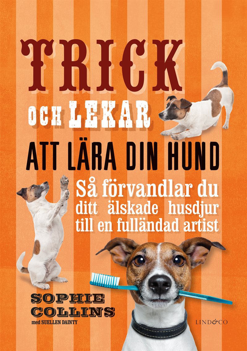 Trick och lekar att lära din hund : så förvandlar du ditt älskade husdjur..