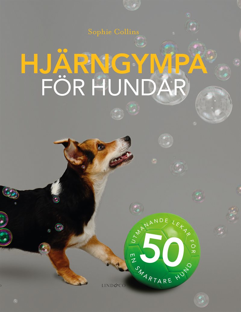 Hjärngympa för hundar : 50 utmanande lekar för en smartare hund