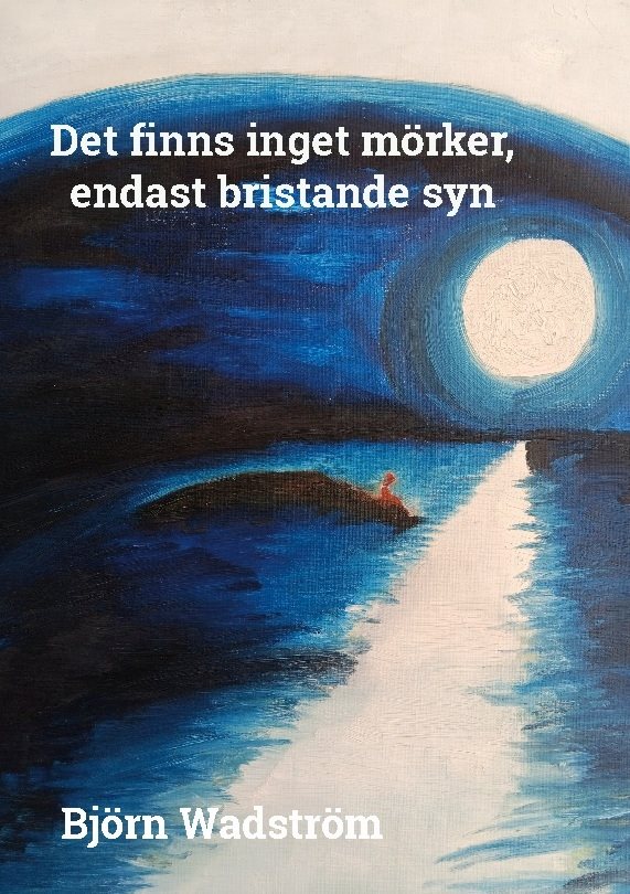Det finns inget mörker, endast bristande syn : en ny förståelse och förklaring av medvetandet