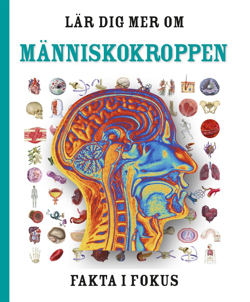 Lär dig mer om människokroppen