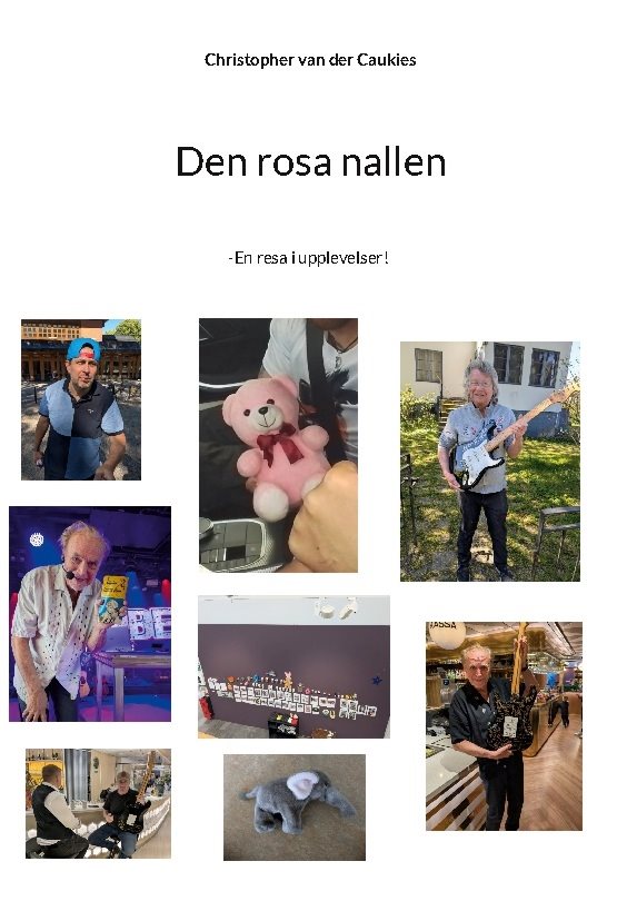 Den rosa nallen : en resa i upplevelser!