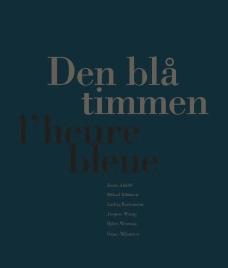 Den blå timmen : L