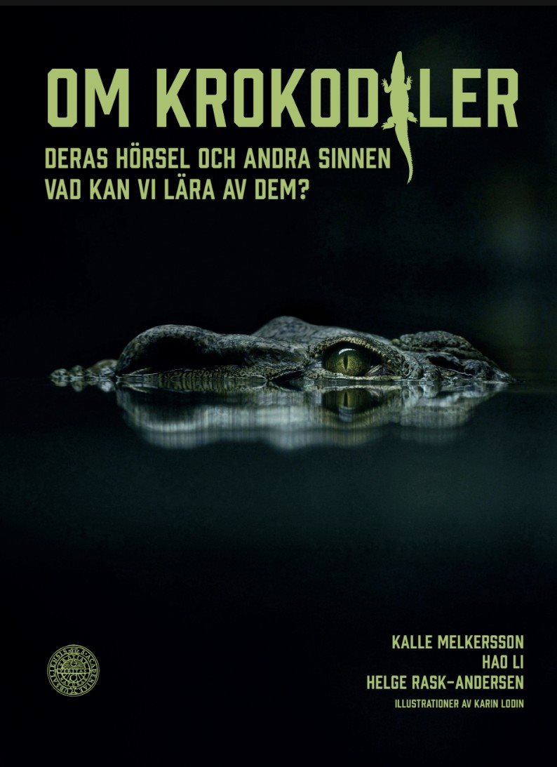 Om krokodiler : deras hörsel och andra sinnen Vad kan vi lära av dem?