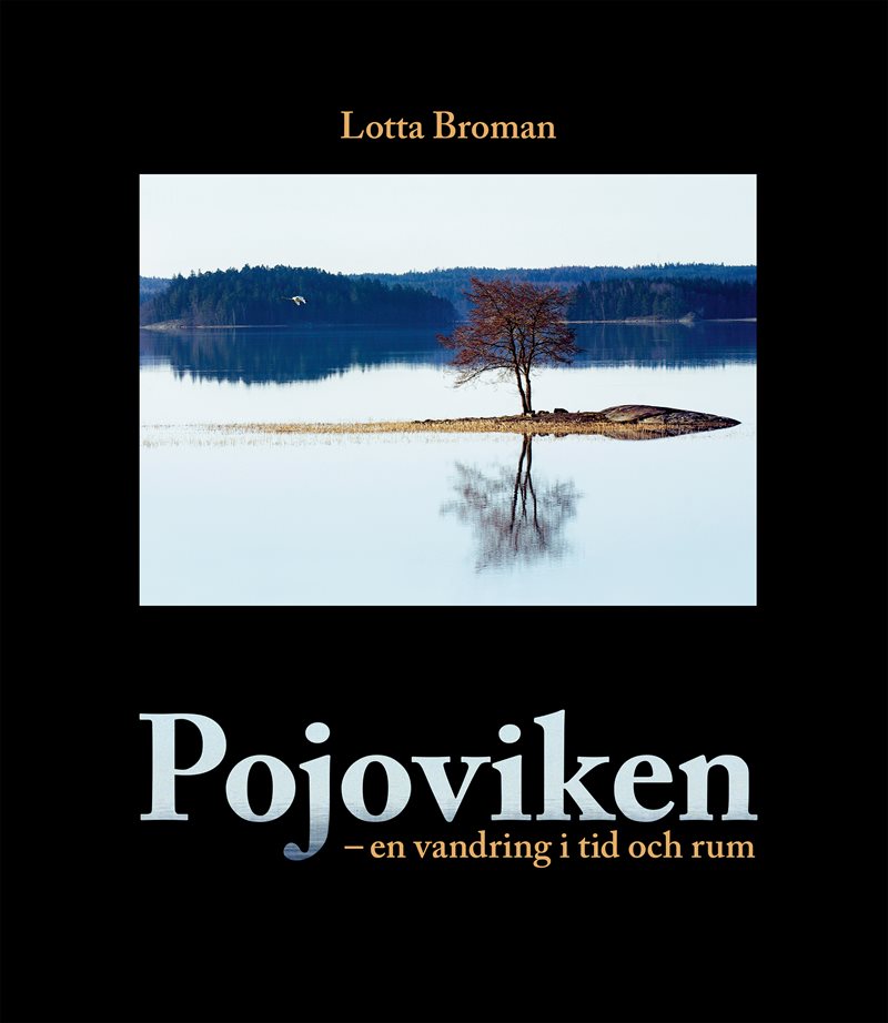 Pojoviken – en vandring i tid och rum