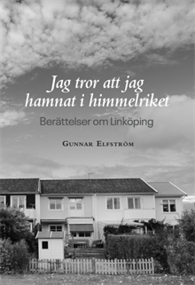 Jag tror att jag hamnat i himmelriket - berättelser om Linköping